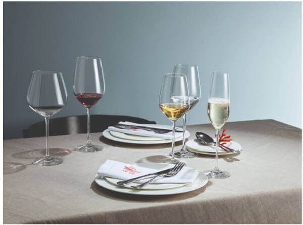 Schott Zwiesel Fortissimo Rodewijnglas Bourgogne 140 0, 73 l, per 6